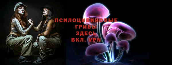 дмт Алексин