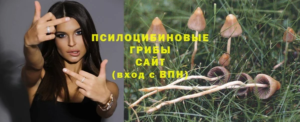 дмт Алексин