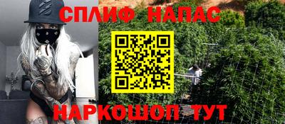 шишки Краснодар