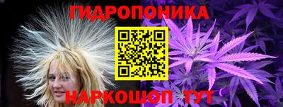шишки Краснодар