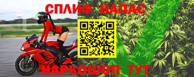 шишки Краснодар