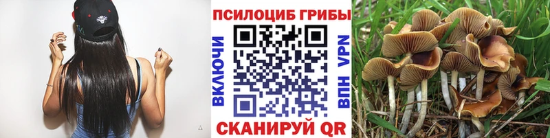 где продают наркотики  кракен зеркало  Псилоцибиновые грибы Psilocybine cubensis  Каменск-Уральский 