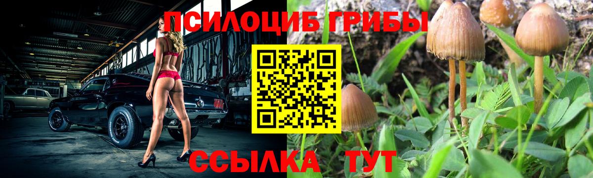 Псилоцибиновые грибы Psilocybine cubensis Каменск-Уральский