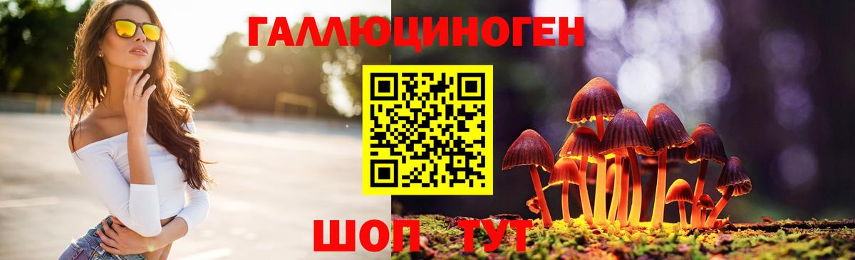 Псилоцибиновые грибы Psilocybine cubensis  Вход с VPN  Каменск-Уральский 