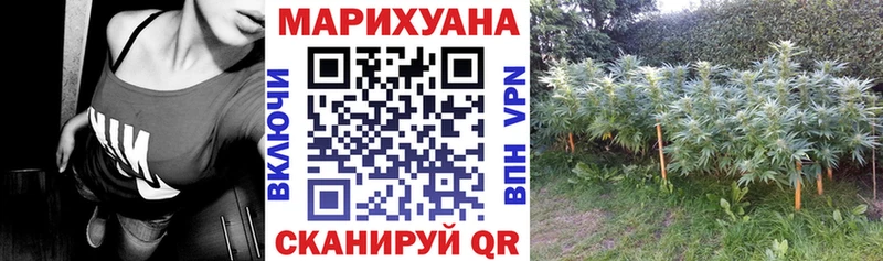 shop Telegram  Каменск-Уральский  Каннабис планчик 